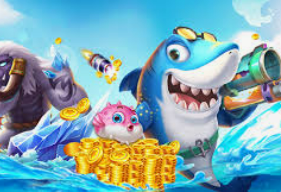 壹号平台app最新版