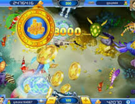 壹号平台app2024最新版